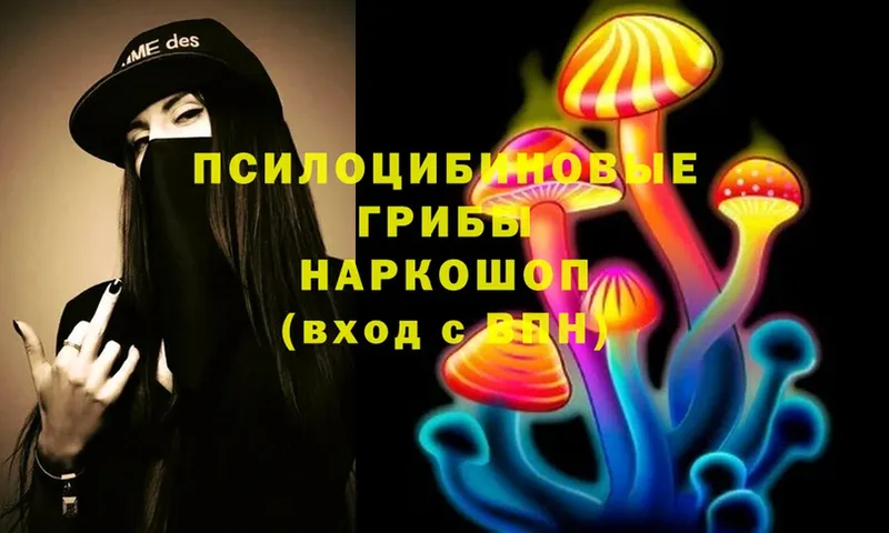 Псилоцибиновые грибы MAGIC MUSHROOMS  Белореченск 